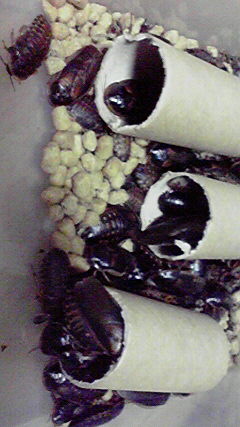2011042721550000.jpg