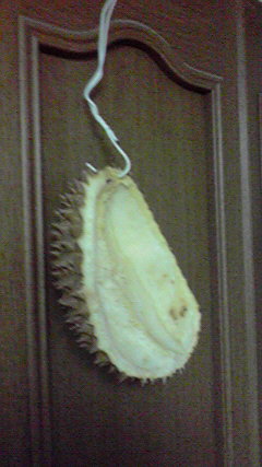 2009071518490000.jpg