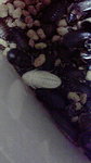 2011042721440000.jpg