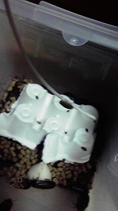 2011043014200001.jpg