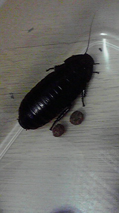 2010032317300000.jpg